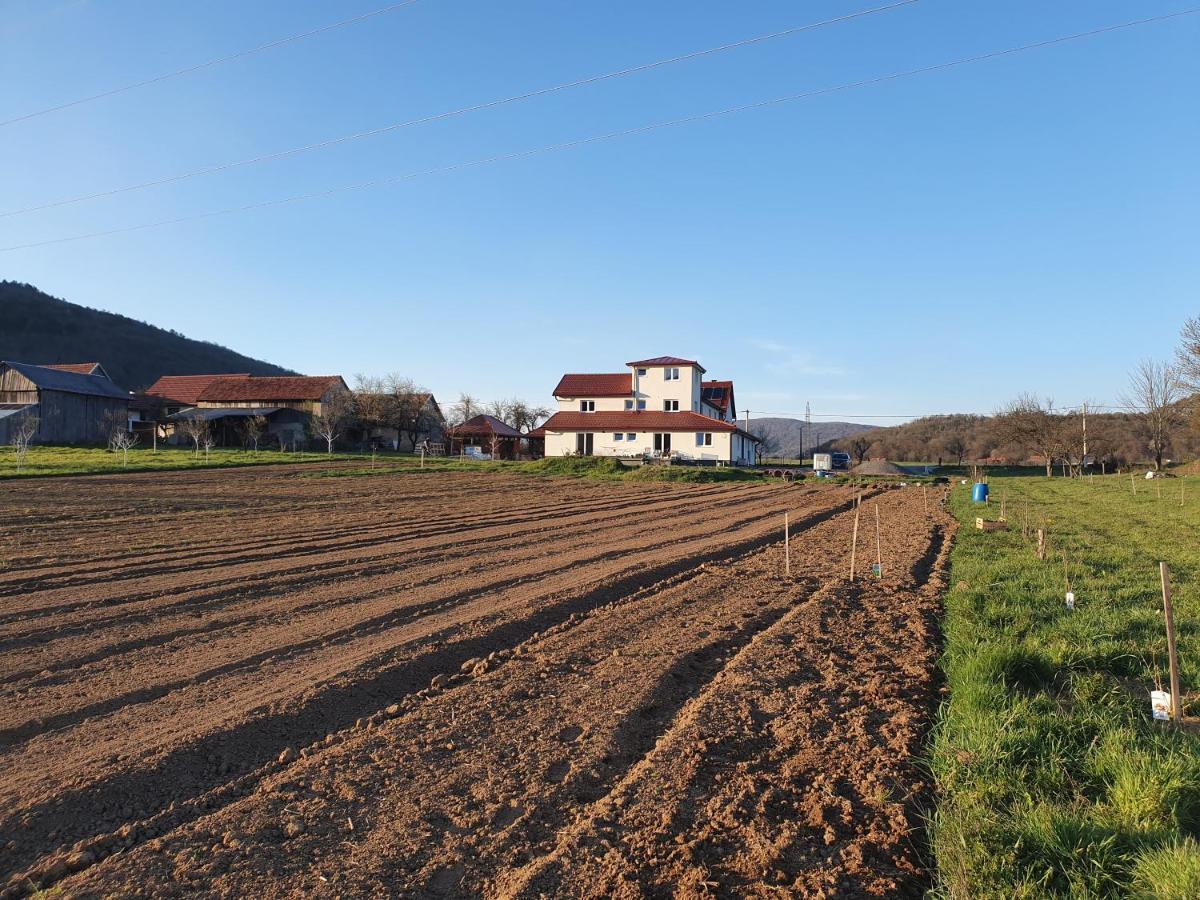 Apartmani Fenestra Tesla I Faust Otočac Exteriör bild